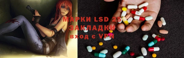 сатива Волоколамск