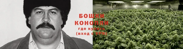 сатива Волоколамск