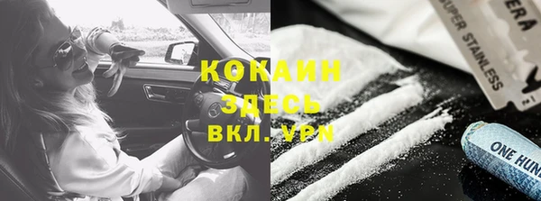 PSILOCYBIN Верея