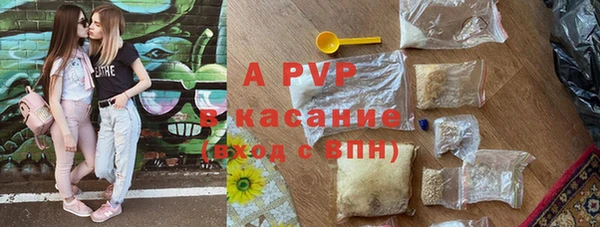 сатива Бронницы
